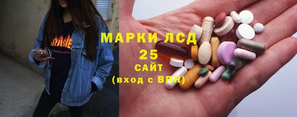 крисы Абаза