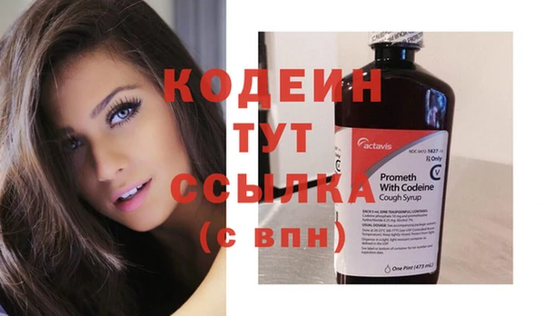 крисы Абаза