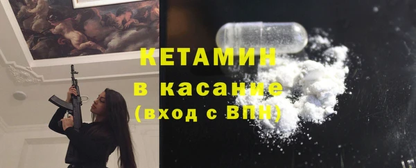 крисы Абаза
