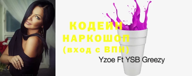 крисы Абаза