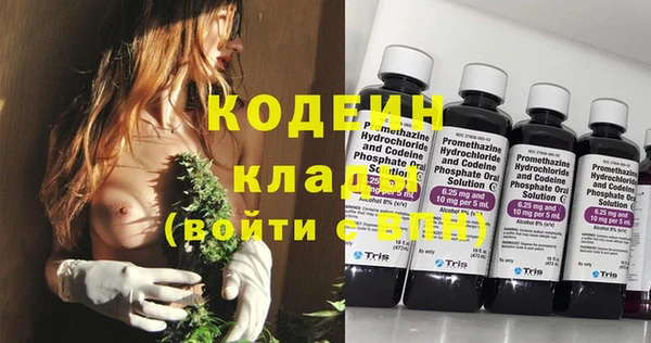 крисы Абаза
