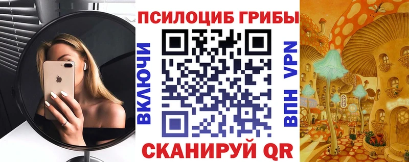 Псилоцибиновые грибы GOLDEN TEACHER  Абаза 